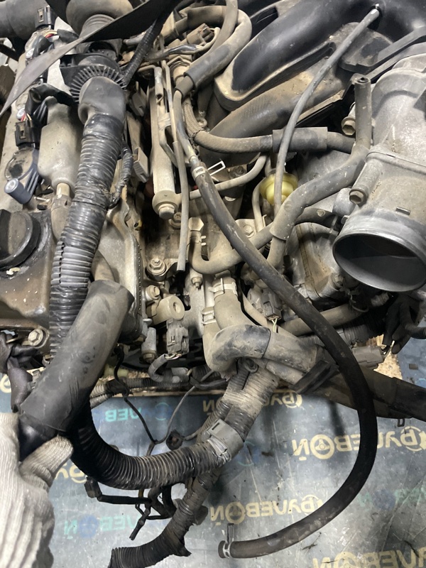 Двигатель Lexus RX330 MCU33 3MZFE — фото 7