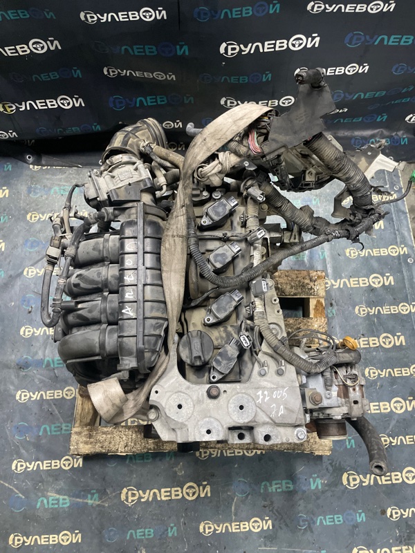 Двигатель NISSAN X-trail NT31 QR25DE — фото 2