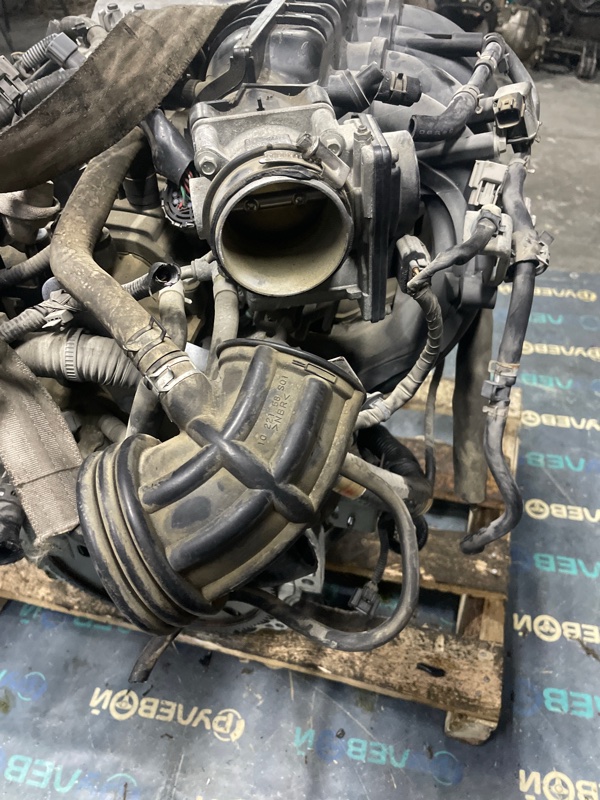 Двигатель NISSAN X-trail NT31 QR25DE — фото 4